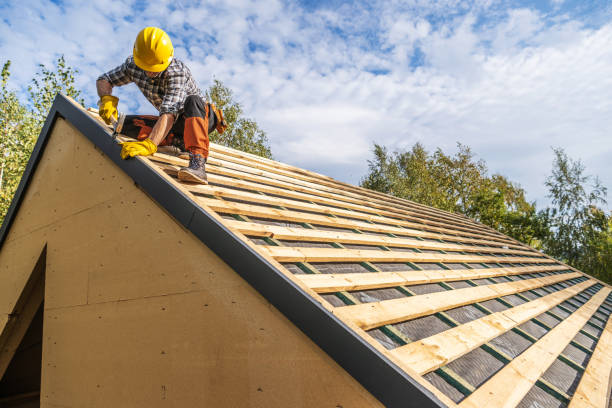 Best Metal Roofing Contractor  in Elm Creek, TX