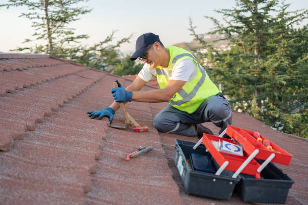 Professional Roofing Contractor in Elm Creek, TX